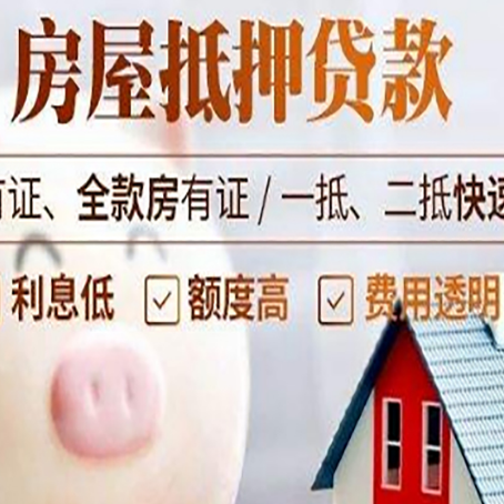 卧龙贷款助贷公司新渝启服成立时间久